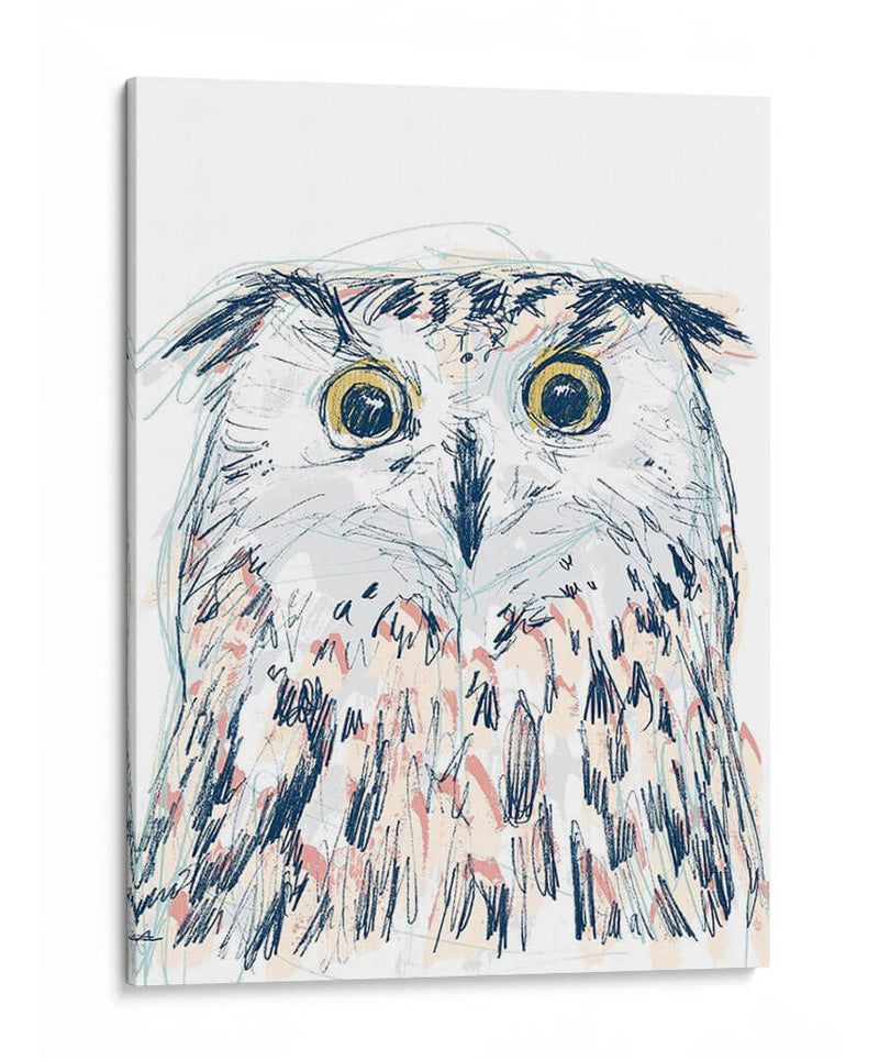 Funky Owl Retrato Ii - June Erica Vess | Cuadro decorativo de Canvas Lab