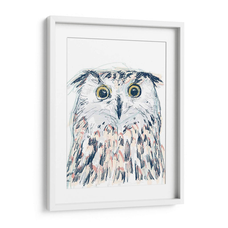 Funky Owl Retrato Ii - June Erica Vess | Cuadro decorativo de Canvas Lab