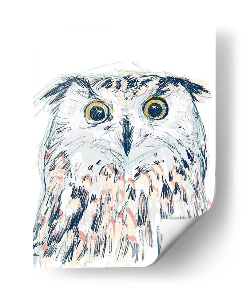 Funky Owl Retrato Ii - June Erica Vess | Cuadro decorativo de Canvas Lab