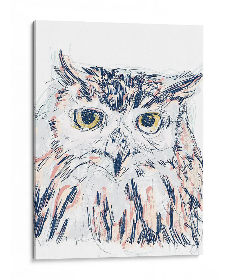 Funky Owl Retrato Iii - June Erica Vess | Cuadro decorativo de Canvas Lab