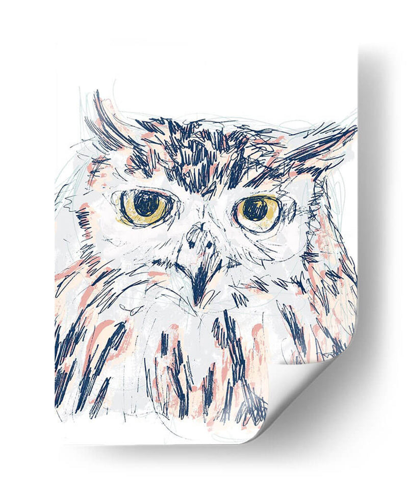 Funky Owl Retrato Iii - June Erica Vess | Cuadro decorativo de Canvas Lab