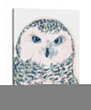 Funky Owl Retrato Iv - June Erica Vess | Cuadro decorativo de Canvas Lab