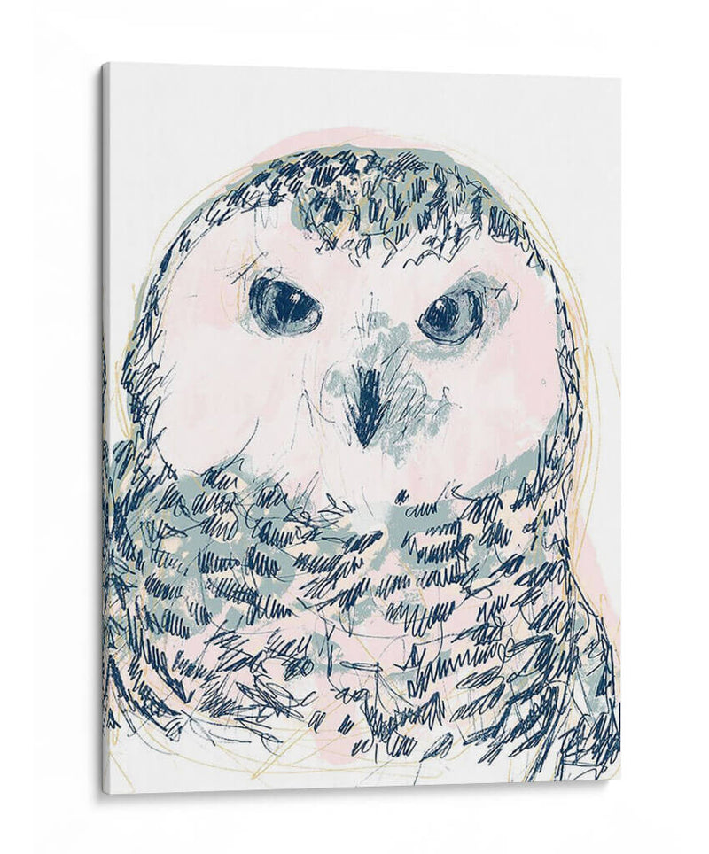 Funky Owl Retrato Iv - June Erica Vess | Cuadro decorativo de Canvas Lab