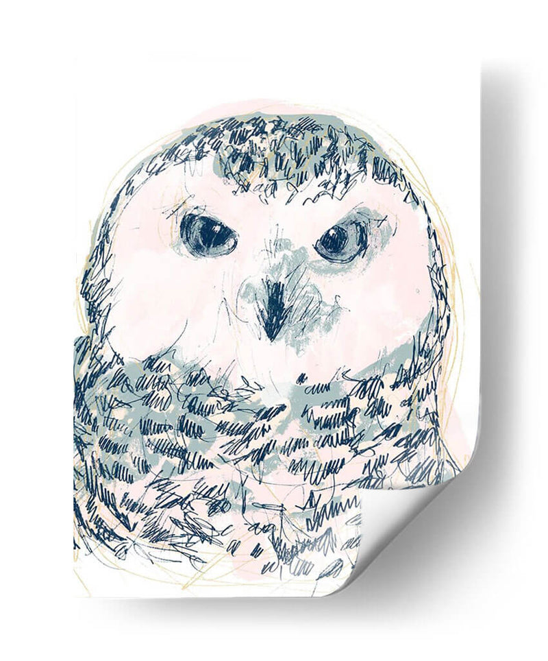 Funky Owl Retrato Iv - June Erica Vess | Cuadro decorativo de Canvas Lab