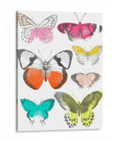 Mariposas Cromáticas I - June Erica Vess | Cuadro decorativo de Canvas Lab
