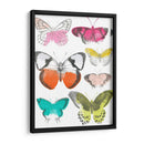 Mariposas Cromáticas I - June Erica Vess | Cuadro decorativo de Canvas Lab