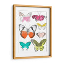 Mariposas Cromáticas I - June Erica Vess | Cuadro decorativo de Canvas Lab