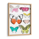 Mariposas Cromáticas I - June Erica Vess | Cuadro decorativo de Canvas Lab