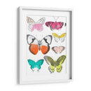 Mariposas Cromáticas I - June Erica Vess | Cuadro decorativo de Canvas Lab