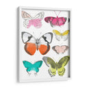 Mariposas Cromáticas I - June Erica Vess | Cuadro decorativo de Canvas Lab