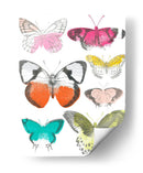 Mariposas Cromáticas I - June Erica Vess | Cuadro decorativo de Canvas Lab