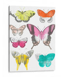 Mariposas Cromáticas Ii - June Erica Vess | Cuadro decorativo de Canvas Lab