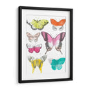Mariposas Cromáticas Ii - June Erica Vess | Cuadro decorativo de Canvas Lab