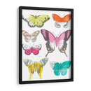 Mariposas Cromáticas Ii - June Erica Vess | Cuadro decorativo de Canvas Lab