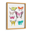Mariposas Cromáticas Ii - June Erica Vess | Cuadro decorativo de Canvas Lab
