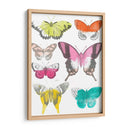 Mariposas Cromáticas Ii - June Erica Vess | Cuadro decorativo de Canvas Lab
