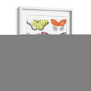 Mariposas Cromáticas Ii - June Erica Vess | Cuadro decorativo de Canvas Lab