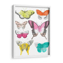 Mariposas Cromáticas Ii - June Erica Vess | Cuadro decorativo de Canvas Lab