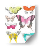Mariposas Cromáticas Ii - June Erica Vess | Cuadro decorativo de Canvas Lab