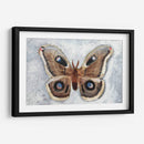 Papillon De Nuit Ii - Alicia Ludwig | Cuadro decorativo de Canvas Lab