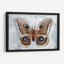 Papillon De Nuit Ii - Alicia Ludwig | Cuadro decorativo de Canvas Lab
