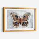 Papillon De Nuit Ii - Alicia Ludwig | Cuadro decorativo de Canvas Lab