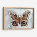 Papillon De Nuit Ii - Alicia Ludwig | Cuadro decorativo de Canvas Lab