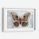 Papillon De Nuit Ii - Alicia Ludwig | Cuadro decorativo de Canvas Lab