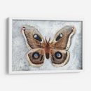 Papillon De Nuit Ii - Alicia Ludwig | Cuadro decorativo de Canvas Lab