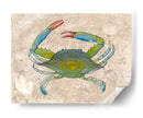 Crabuloso I - Alicia Ludwig | Cuadro decorativo de Canvas Lab