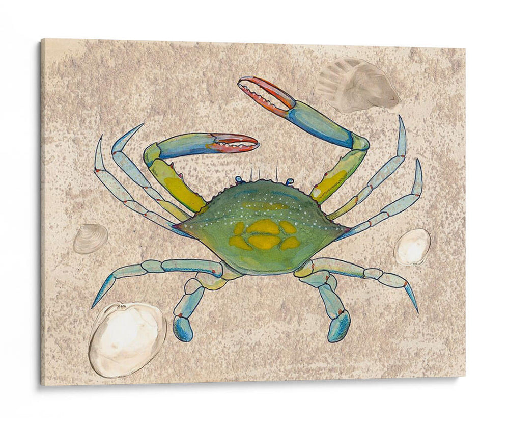 Crabuloso Ii - Alicia Ludwig | Cuadro decorativo de Canvas Lab