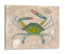 Crabuloso Ii - Alicia Ludwig | Cuadro decorativo de Canvas Lab