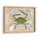 Crabuloso Ii - Alicia Ludwig | Cuadro decorativo de Canvas Lab