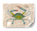 Crabuloso Ii - Alicia Ludwig | Cuadro decorativo de Canvas Lab