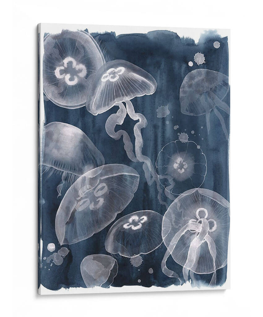 Jaleas Luna I - Grace Popp | Cuadro decorativo de Canvas Lab