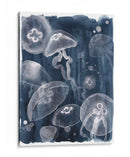 Jaleas Luna I - Grace Popp | Cuadro decorativo de Canvas Lab