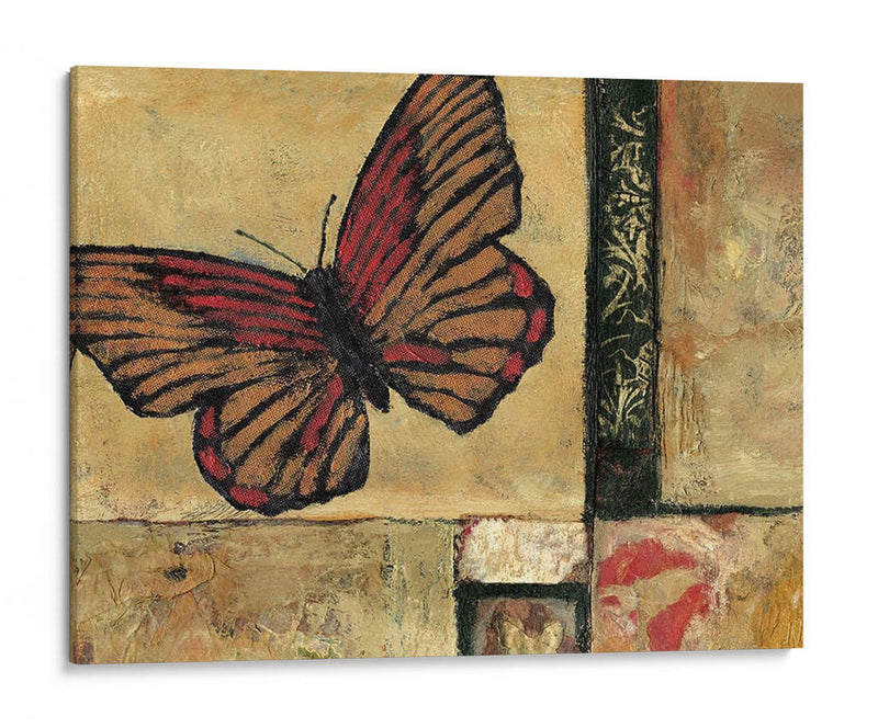 Mariposa En La Frontera I - Judi Bagnato | Cuadro decorativo de Canvas Lab