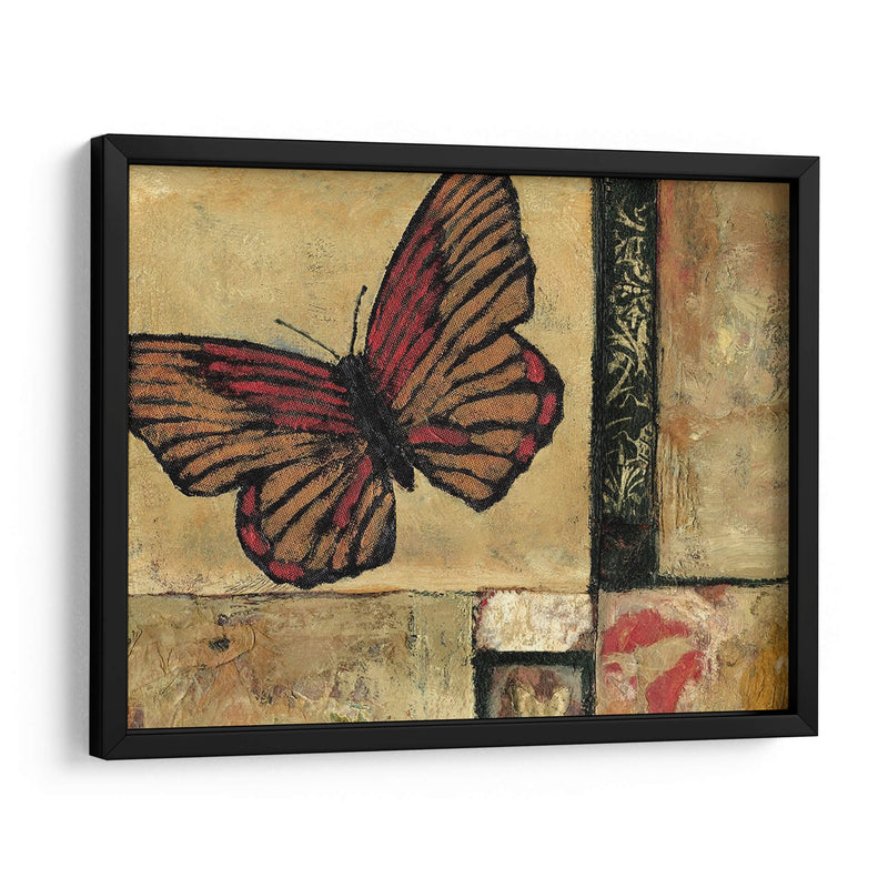 Mariposa En La Frontera I - Judi Bagnato | Cuadro decorativo de Canvas Lab