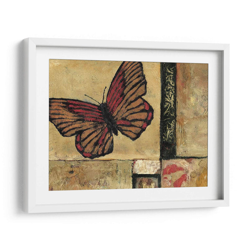 Mariposa En La Frontera I - Judi Bagnato | Cuadro decorativo de Canvas Lab