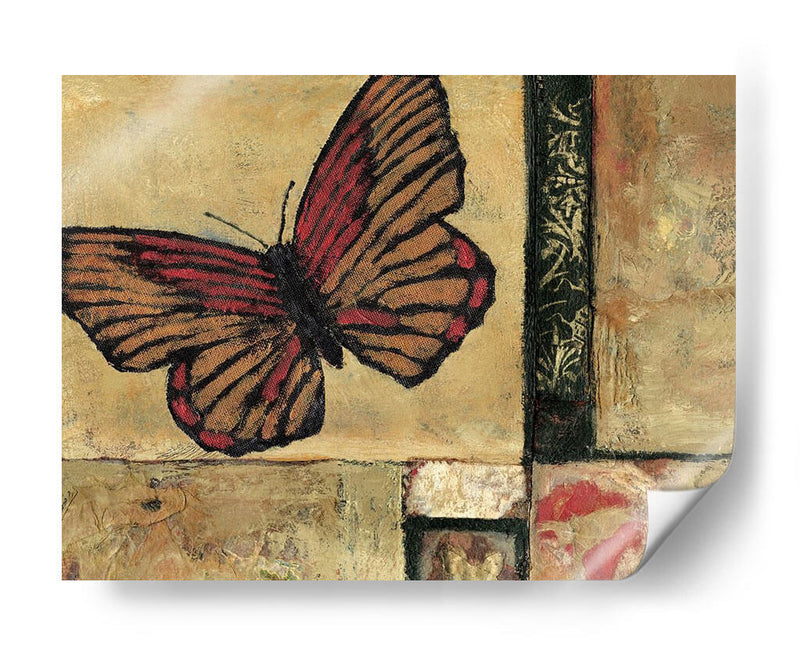 Mariposa En La Frontera I - Judi Bagnato | Cuadro decorativo de Canvas Lab