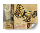 Mariposa En La Frontera Ii - Judi Bagnato | Cuadro decorativo de Canvas Lab