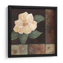 Magnolia Breeze Ii - Judi Bagnato | Cuadro decorativo de Canvas Lab