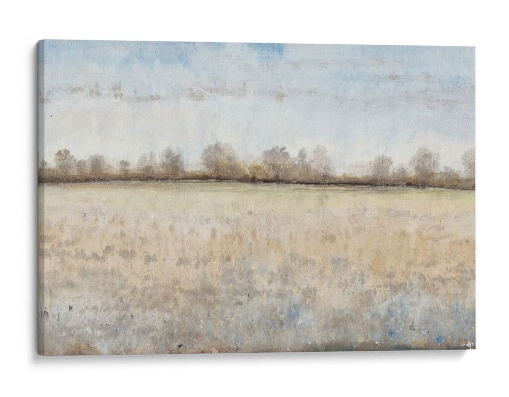 Tierra De Pastoreo I - Tim OToole | Cuadro decorativo de Canvas Lab