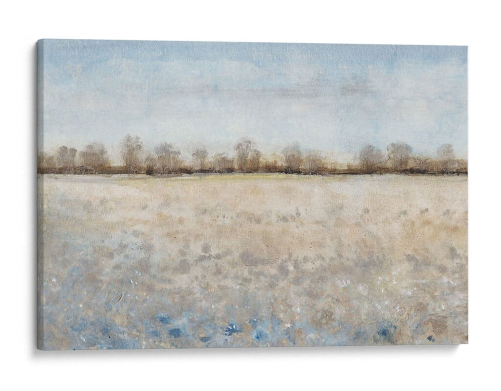 Pasto De La Tierra Ii - Tim OToole | Cuadro decorativo de Canvas Lab