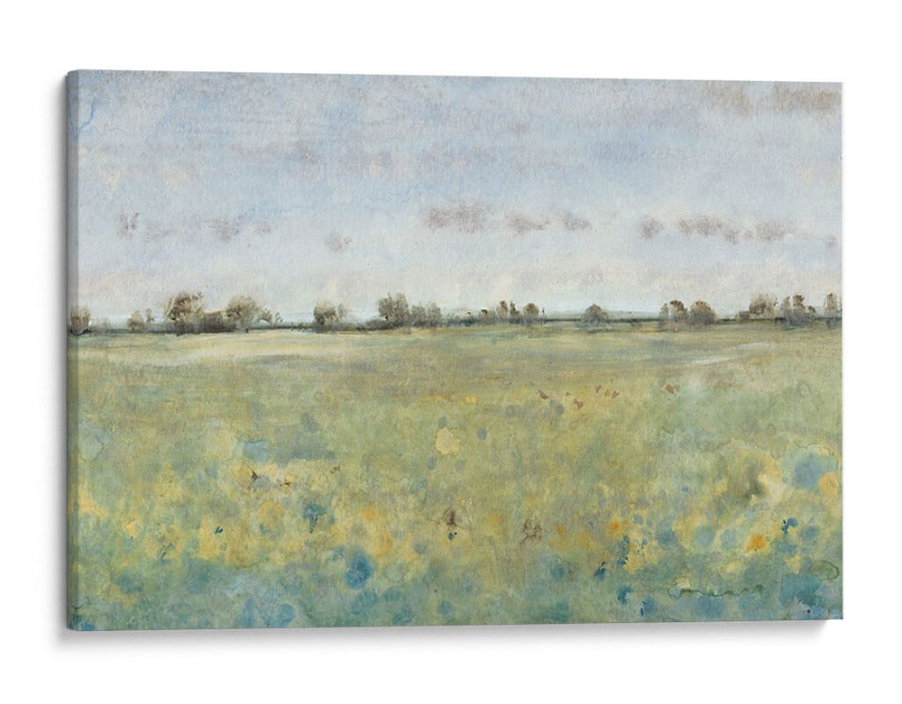 Pasto De La Tierra Iv - Tim OToole | Cuadro decorativo de Canvas Lab