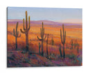 Luz Del Desierto I - Tim OToole | Cuadro decorativo de Canvas Lab
