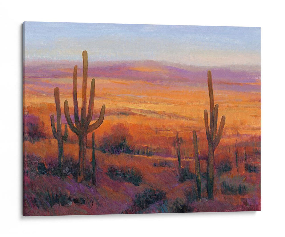 Luz Del Desierto Ii - Tim OToole | Cuadro decorativo de Canvas Lab