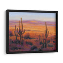 Luz Del Desierto Ii - Tim OToole | Cuadro decorativo de Canvas Lab