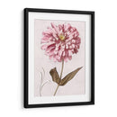 Zinnia Rosa I - Christine Zalewski | Cuadro decorativo de Canvas Lab