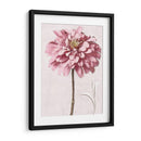 Zinnia Rosa Ii - Christine Zalewski | Cuadro decorativo de Canvas Lab